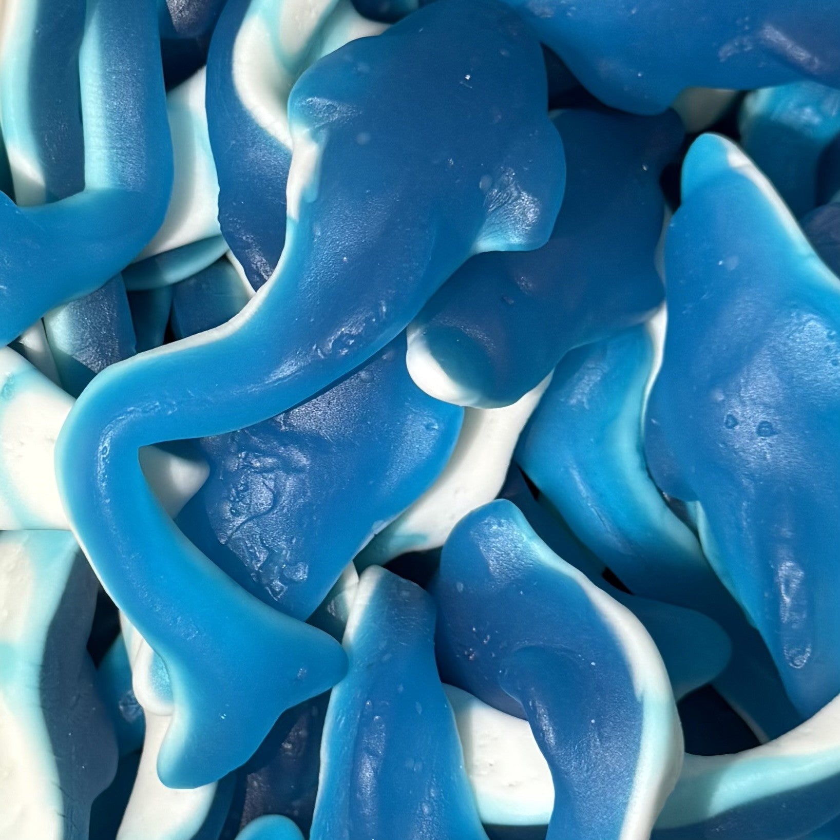 Giant Blue Raspberry Dolphins